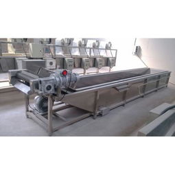 昊昌1000型蔬菜清洗機(jī) 高效潔凈，賦能食品加工新篇章